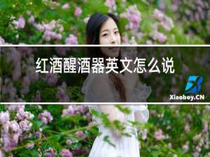 红酒醒酒器英文怎么说