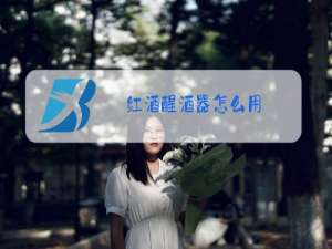 红酒醒酒器怎么用