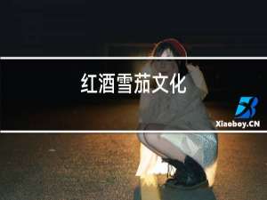 红酒雪茄文化
