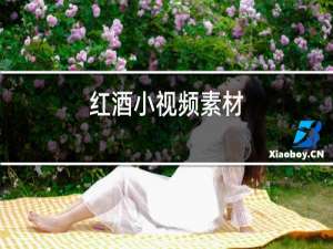 红酒小视频素材