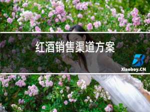 红酒销售渠道方案
