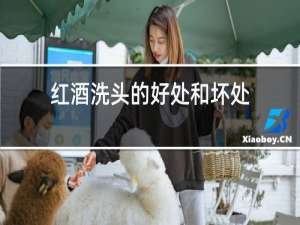红酒洗头的好处和坏处
