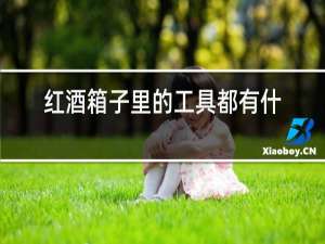 红酒箱子里的工具都有什么用