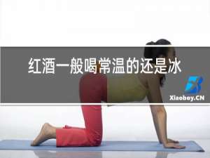 红酒一般喝常温的还是冰镇的