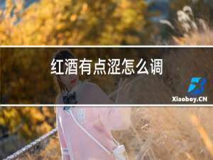 红酒有点涩怎么调
