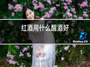 红酒用什么醒酒好