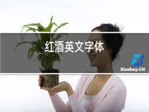 红酒英文字体