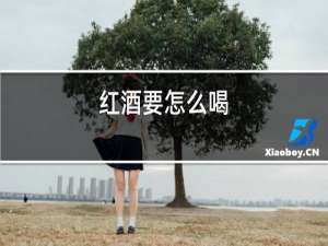 红酒要怎么喝