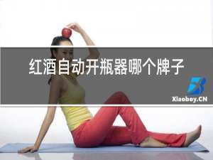 红酒自动开瓶器哪个牌子好