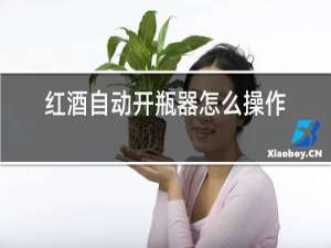 红酒自动开瓶器怎么操作