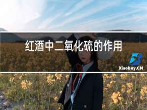 红酒中二氧化硫的作用