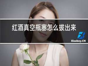 红酒真空瓶塞怎么拔出来