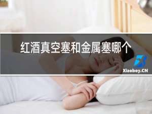 红酒真空塞和金属塞哪个好用