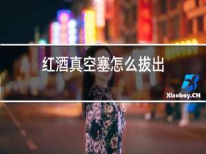 红酒真空塞怎么拔出