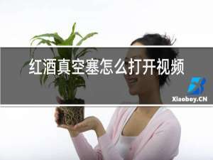 红酒真空塞怎么打开视频