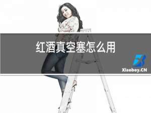 红酒真空塞怎么用