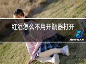 红酒怎么不用开瓶器打开