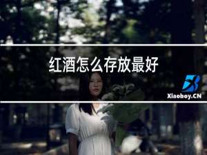 红酒怎么存放最好