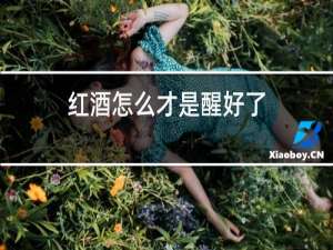 红酒怎么才是醒好了