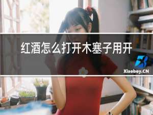 红酒怎么打开木塞子用开瓶器