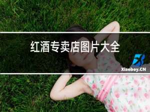红酒专卖店图片大全