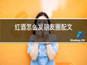 红酒怎么发朋友圈配文