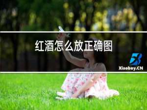 红酒怎么放正确图