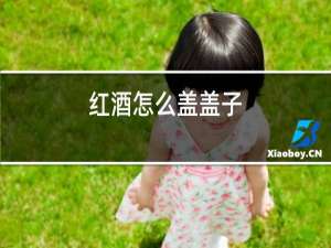 红酒怎么盖盖子