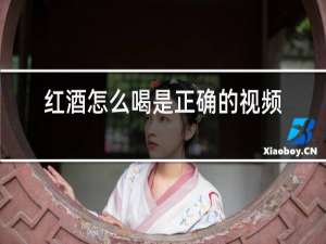 红酒怎么喝是正确的视频