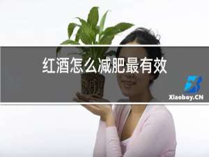 红酒怎么减肥最有效