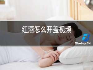 红酒怎么开盖视频