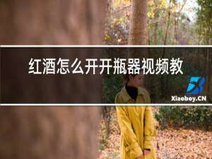 红酒怎么开开瓶器视频教程