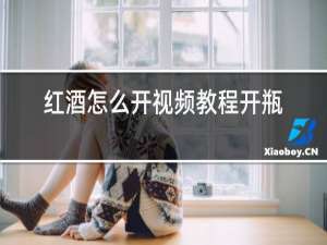 红酒怎么开视频教程开瓶器