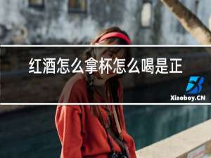 红酒怎么拿杯怎么喝是正确的