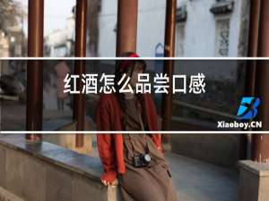 红酒怎么品尝口感
