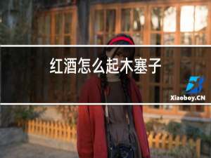 红酒怎么起木塞子