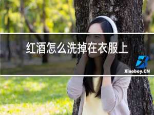红酒怎么洗掉在衣服上