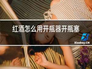 红酒怎么用开瓶器开瓶塞