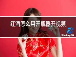 红酒怎么用开瓶器开视频教学