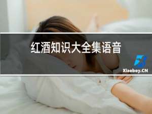 红酒知识大全集语音