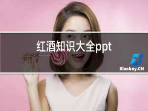 红酒知识大全ppt