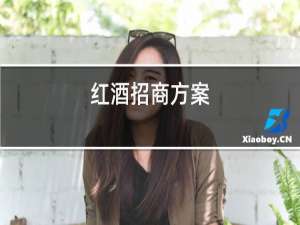 红酒招商方案