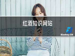 红酒招商网站