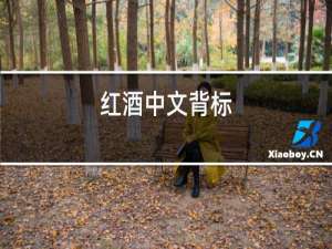 红酒中文背标