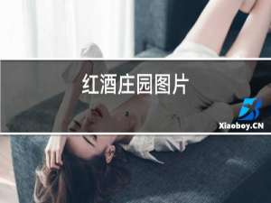 红酒庄园图片