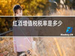 红酒增值税税率是多少