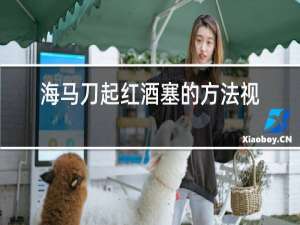 海马刀起红酒塞的方法视频