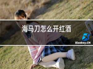 海马刀怎么开红酒