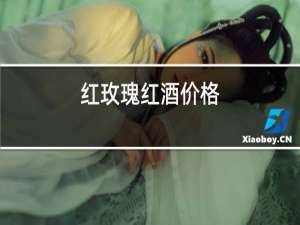 红魔鬼红酒价格