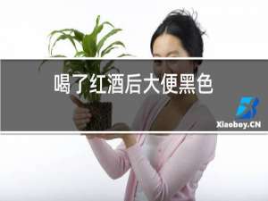 喝了红酒后大便黑色